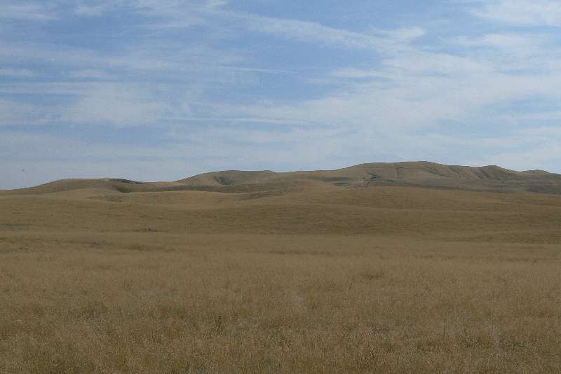 04 Campagna Californiana